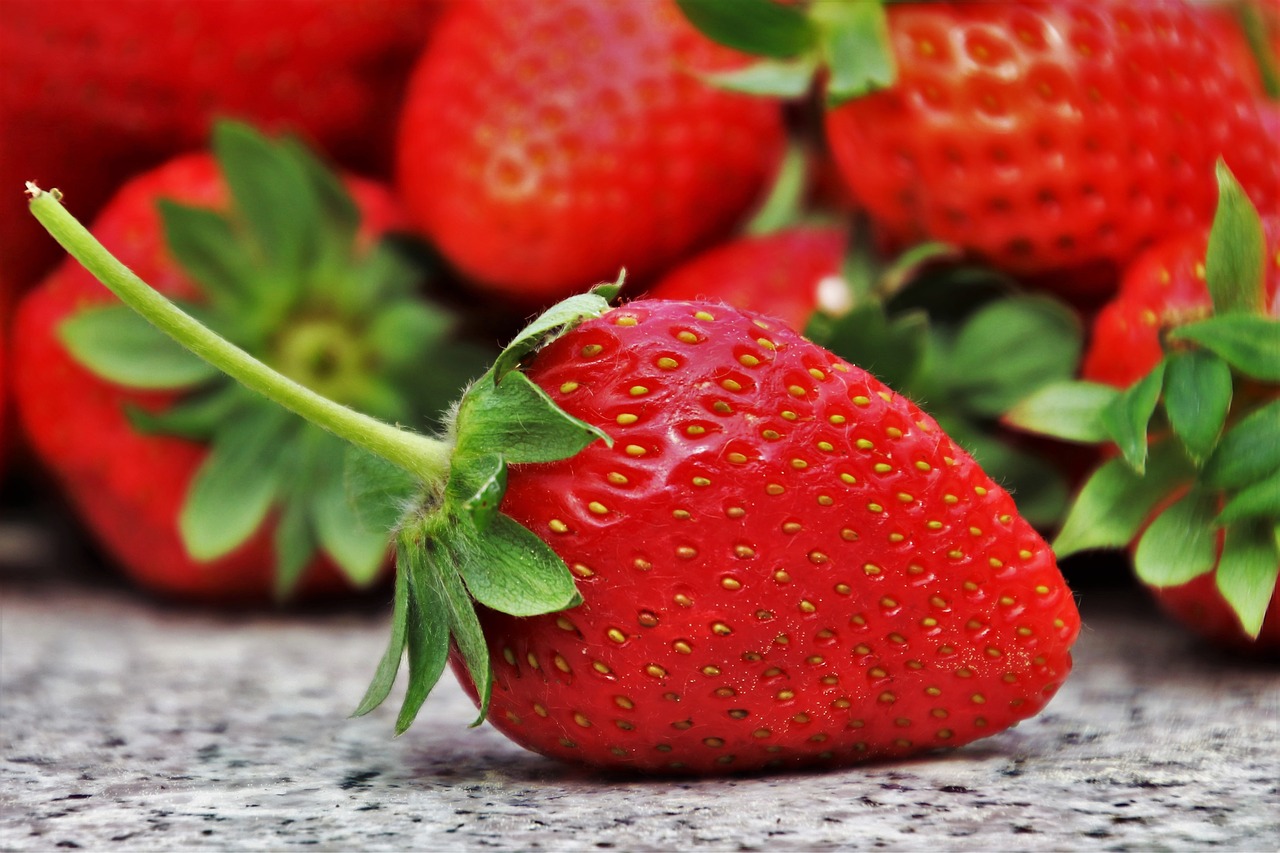 Can Cats Eat Strawberries? What You Need To Know